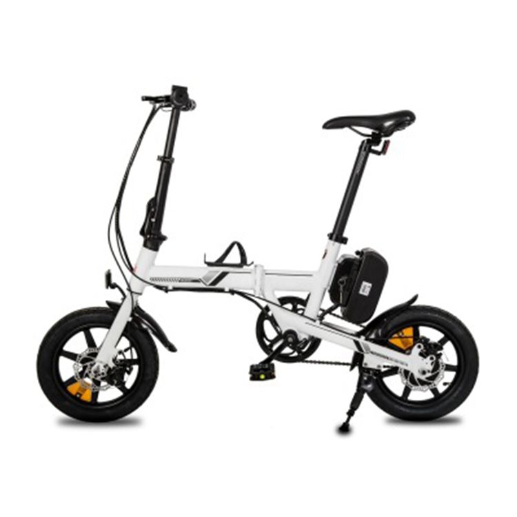 SWALLOW14 Mini Electric Folding Bike with Youth Story