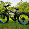 HAMMER26 48V 1000W 13AH Mountain Hero E-bike Fat Tire Cross Country Suspension Frok Electric Bike with F/R Hydraulics