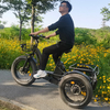 TRAVELLER24 Most Popular Adults Powered Tricycles 48V 750W 1000W 24AH Three Wheel Electric Bike Trike for Sale