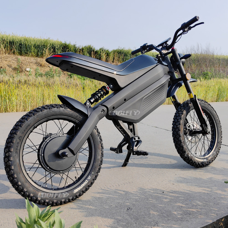 2025 Factory Electric Bike 3000W Moped Style Coolfly Electric Dirt Bike til voksen