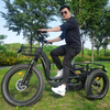 TRAVELLER24 Novel Product Hot Sale Adult 48V 24AH 1000W Tricycle 3 Wheel Electric Bike Cycle Three Wheels