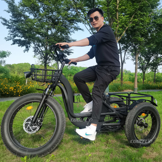 TRAVELLER24 High quality good price electric cargo bike 48V 750W 1000W 3 wheel electric bicycle