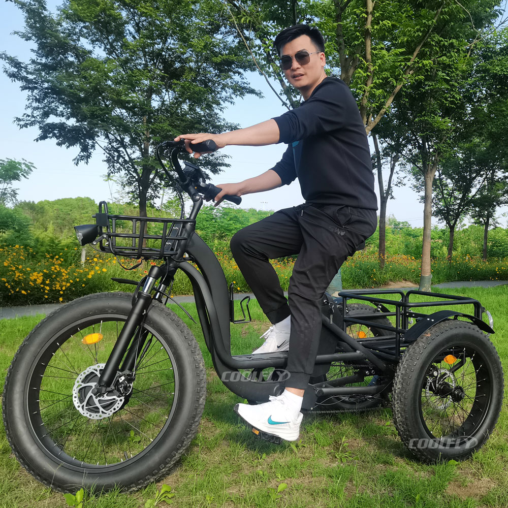 TRAVELLER24 Most Popular Adults Powered Tricycles 48V 750W 1000W 24AH Three Wheel Electric Bike Trike for Sale
