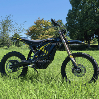 High Quality 2026 Surron Light Bee X 2.0 Brushless Motor 24kw Surron Lbs E Dirt Bike Surron Lbx2 for Adventure Ride 