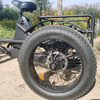 TRAVELLER24 Novel Product Hot Sale Adult 48V 24AH 1000W Tricycle 3 Wheel Electric Bike Cycle Three Wheels
