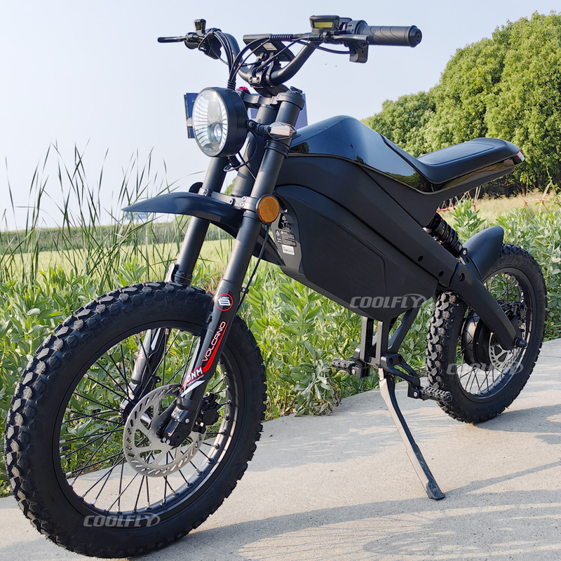 OEM ODM OBM Manufacturers Electric Motorcycle 17inch Tires DNM Suspension Customize Frame E-bike with Full Suspensions