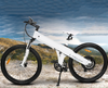 Bicicleta elétrica de montanha FLASH26