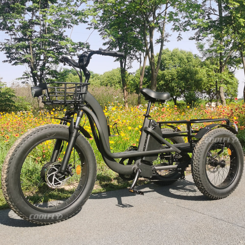 TRAVELLER24 Coolfly Front 24 Inch Rear 20inch 3 Wheel Fat Tire 750W 1000W Cargo Etrike Pedal Assist Electric Tricycle Bike with 7 Speed Gears