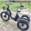 TRAVELLER24 Coolfly Front 24 Inch Rear 20inch 3 Wheel Fat Tire 750W 1000W Cargo Etrike Pedal Assist Electric Tricycle Bike with 7 Speed Gears